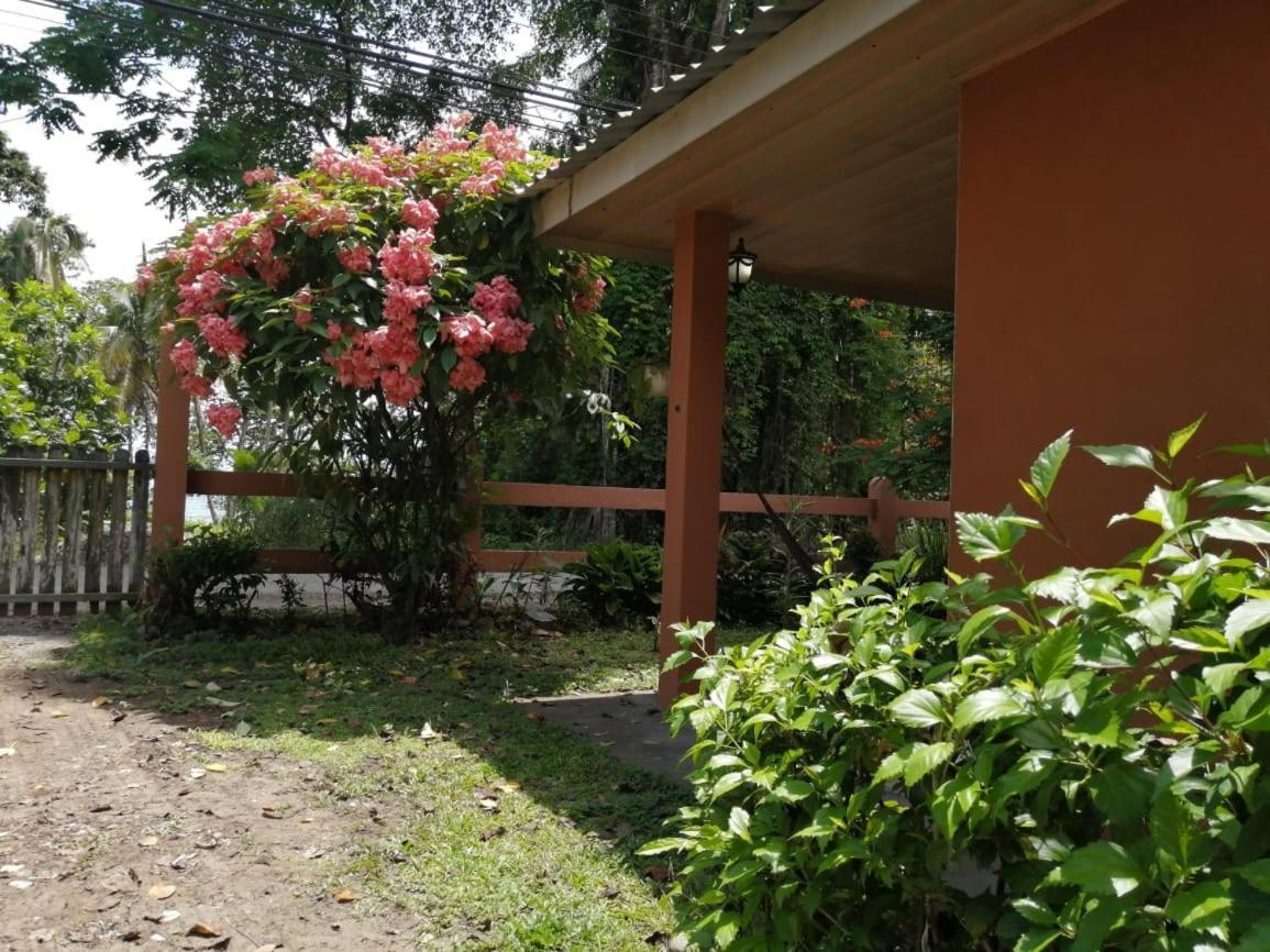 Apartment Cahuita Lodge